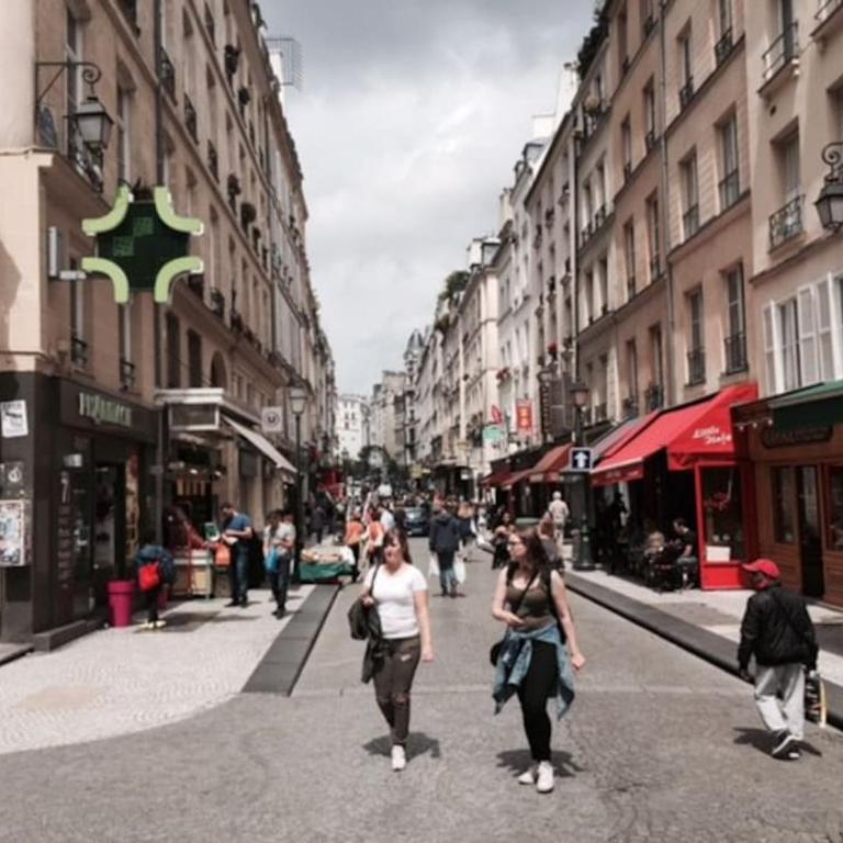 Amazing Terrasse in center of Paris - One-Bedroom Apartment - 19