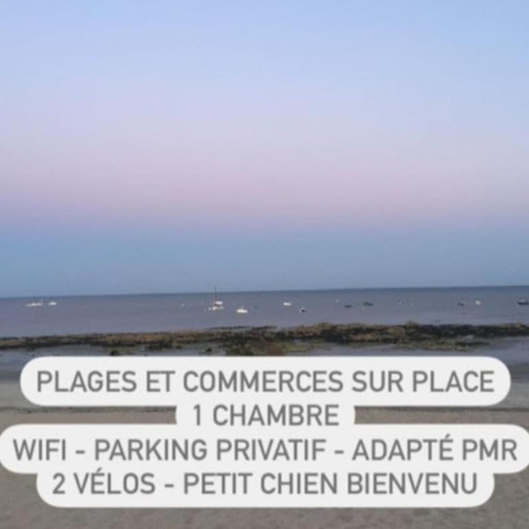 TY DOLMEN DU - 2 vacanciers - Jardin clos - Petit chien bienvenu - 2 vélos - Plages et Commerces à pied - Appartement 1 Chambre - 28
