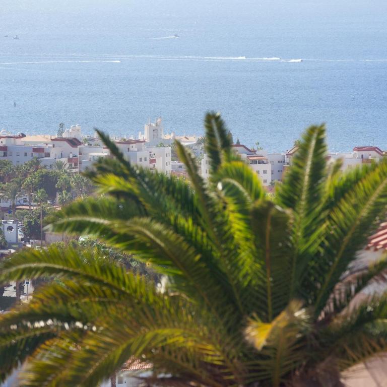 Villa A with priv, heated pool, ocean view THE VIEW TENERIFE - Villa de 3 dormitorios - 54