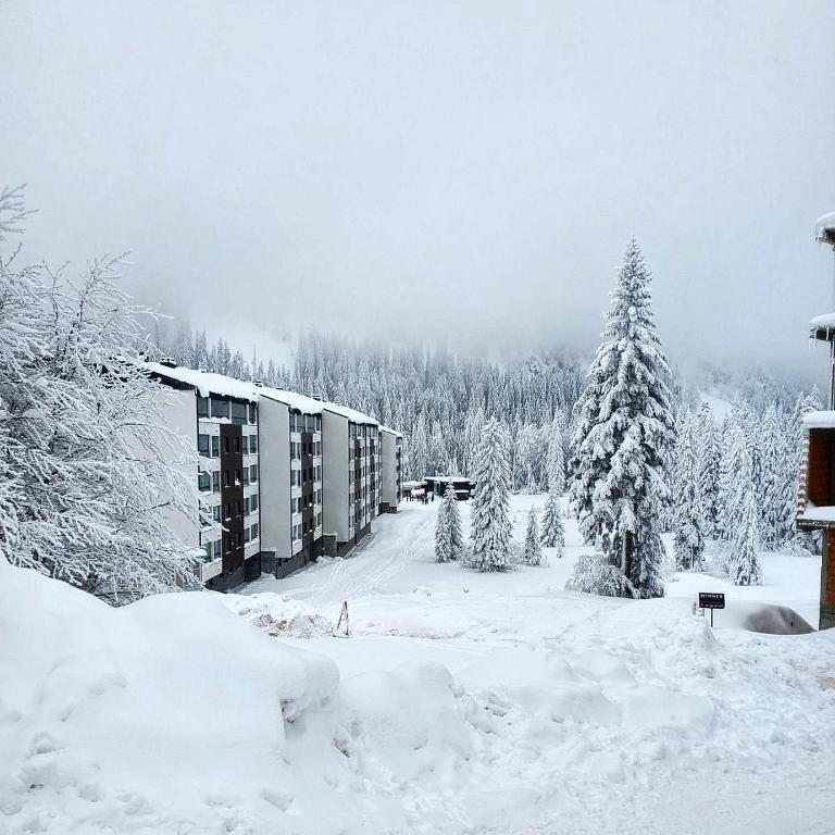 Iskra L5A11 apartman - Jahorina - One-Bedroom Apartment - 1