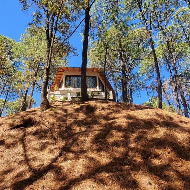 Villa Fantasía a 15 min a pie de cascada - Chalet - 14