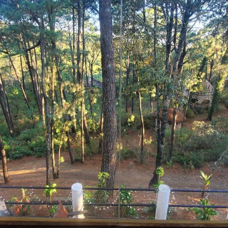 Villa Fantasía a 15 min a pie de cascada - Chalet - 22