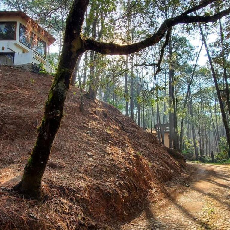 Villa Fantasía a 15 min a pie de cascada - Chalet - 30