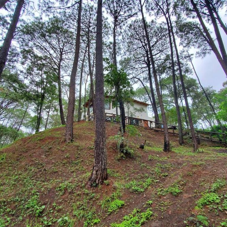 Villa Fantasía a 15 min a pie de cascada - Chalet - 32