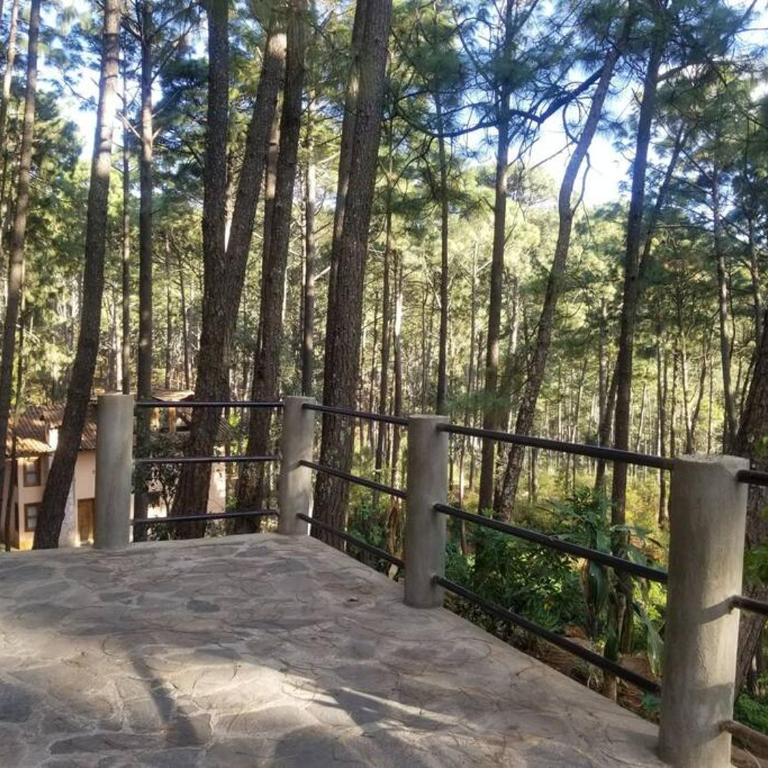 Villa Fantasía a 15 min a pie de cascada - Chalet - 20