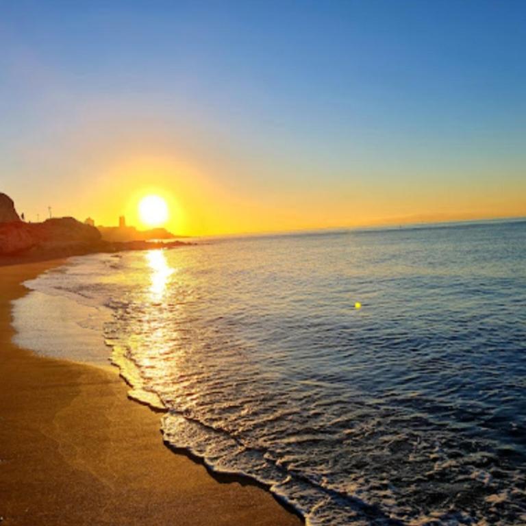 Bambú, Conjunto Playa del Palo - Apartamento de 2 dormitorios - 53