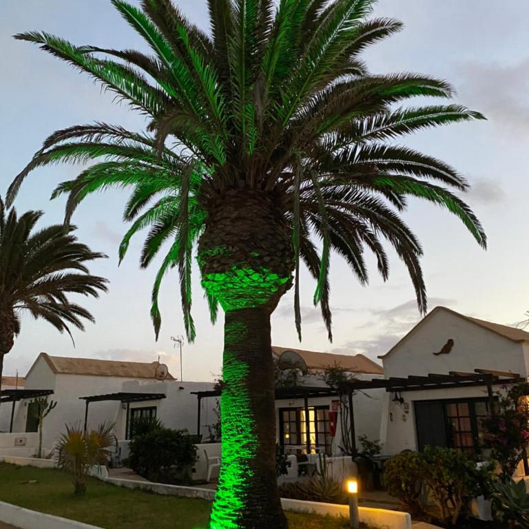 Estrella Del Mar 8. 1 Bedroom Villa with Pool and Gardens 300 metres from the beach - Apartamento de 1 dormitorio - 18