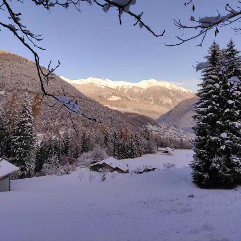 Happy Bolbeno House CIPAT: 022239-AT-814829 - Appartamento con 1 Camera da Letto - 21