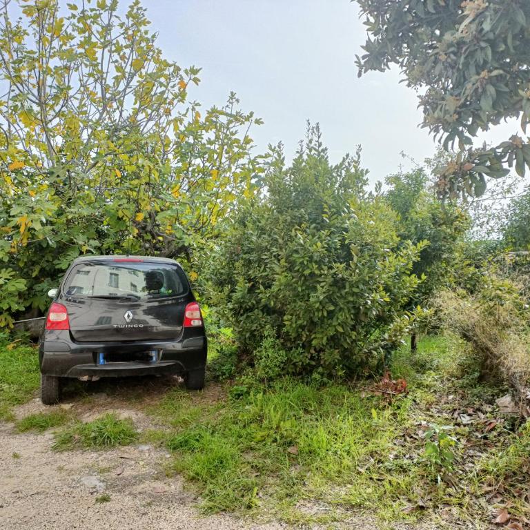 Un bel appartement rez jardin parking gratuit - Appartement 1 Chambre - 8