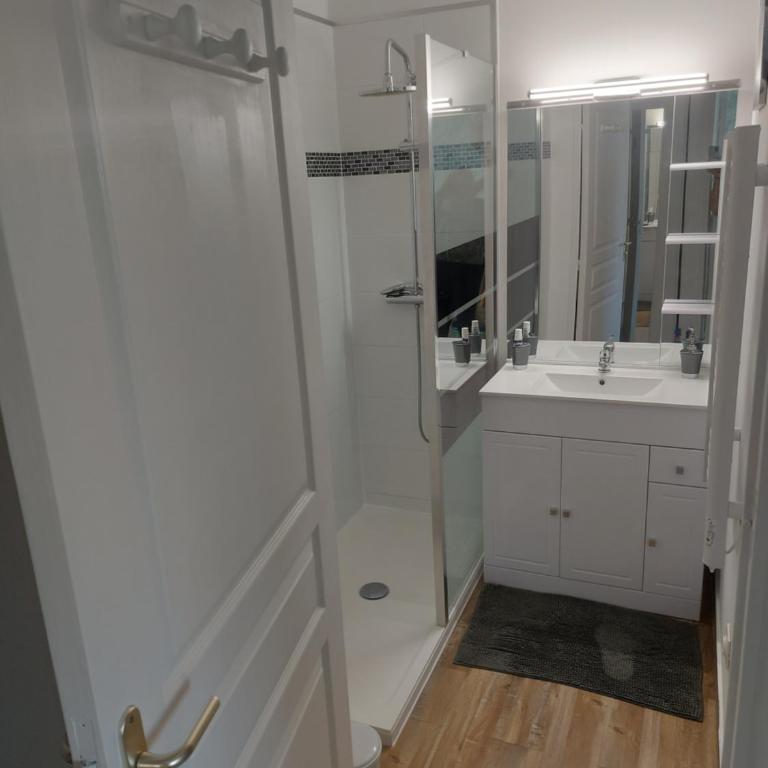 Appartement Antibes juan les pins piscine et mer a 200m - Appartement 1 Chambre - 22
