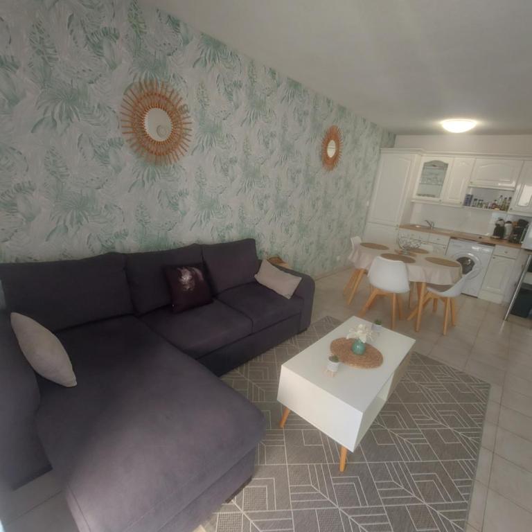 Appartement Antibes juan les pins piscine et mer a 200m - Appartement 1 Chambre - 17