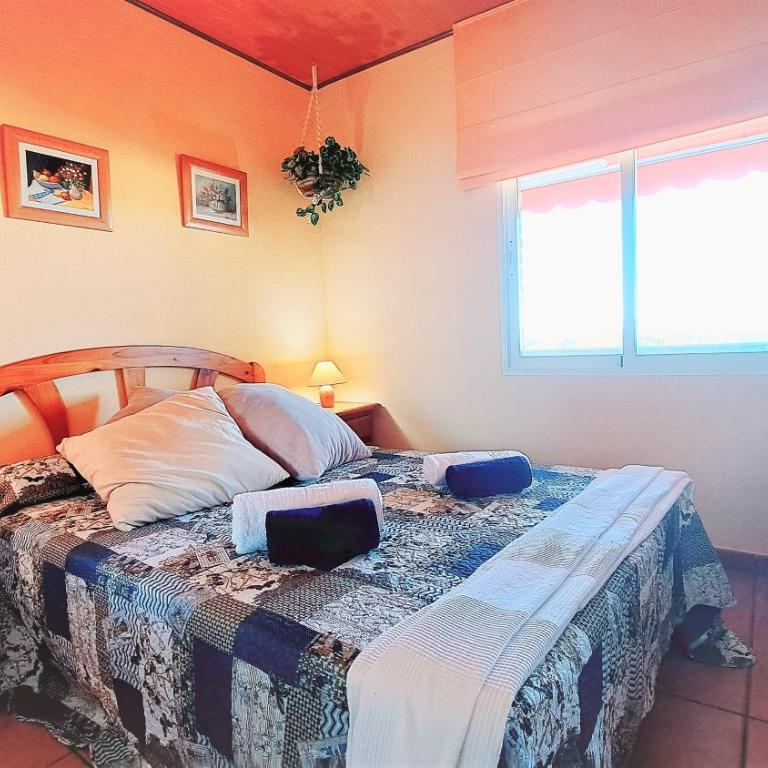 Apartamentos CYE 009 Punta del Cavall - Apartamento de 1 dormitorio - 11