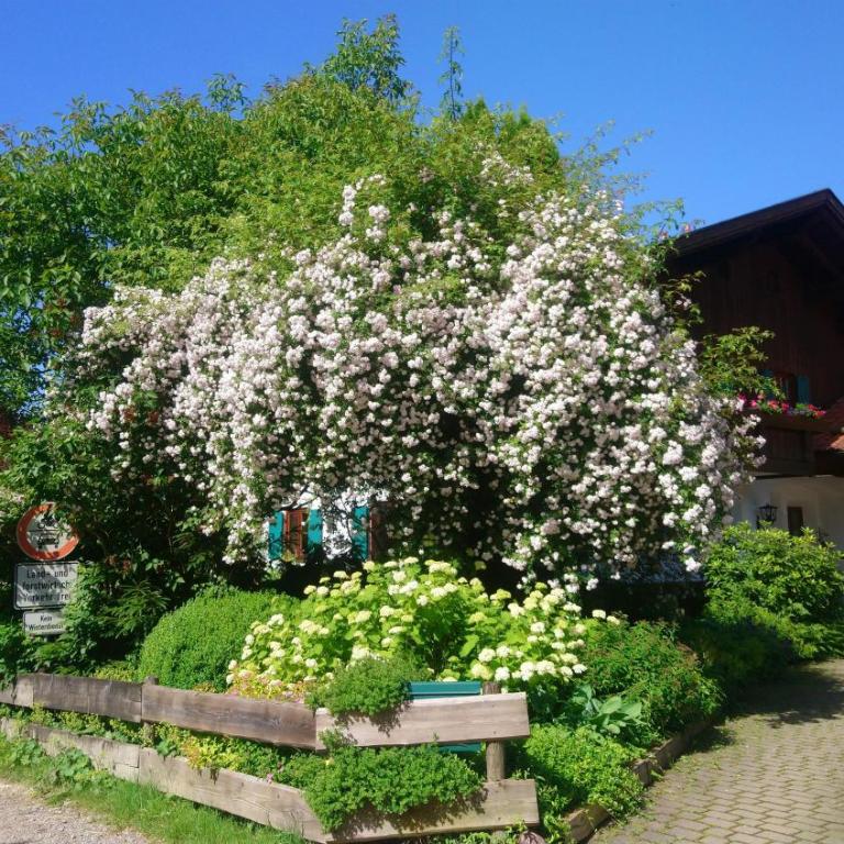 Ferienhaus "Allgäu" - Appartamento - 1