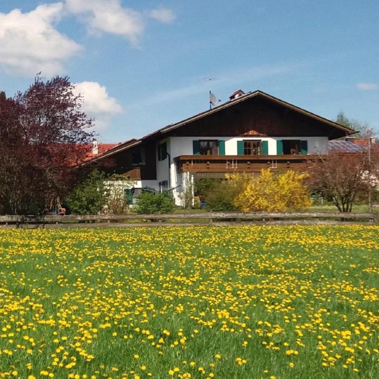 Ferienhaus "Allgäu" - Appartamento - 3