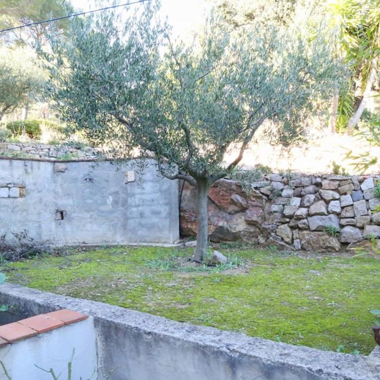 L'Oustaou Dorey - Appartement 2 Chambres - 34