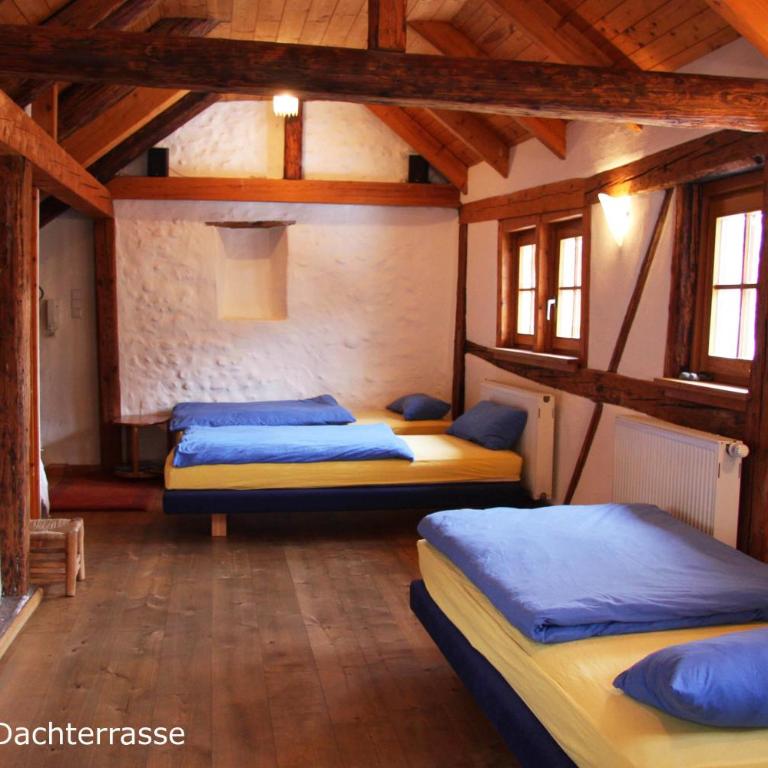 Bio-Ferienwohnung Ellensohn - Studio mit Terrasse - 6