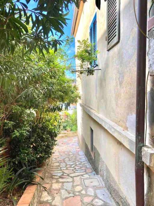 Appartamento vista Porto -Portoferraio - Appartamento con 1 Camera da Letto - 22