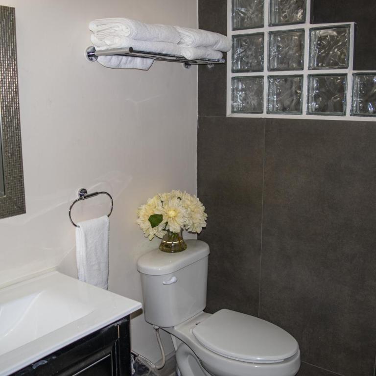 Playas Hotel Suites - Budget Double Room - 2