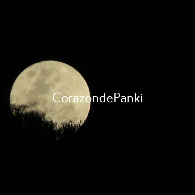 Corazon de Panki - Two-Bedroom House - 4