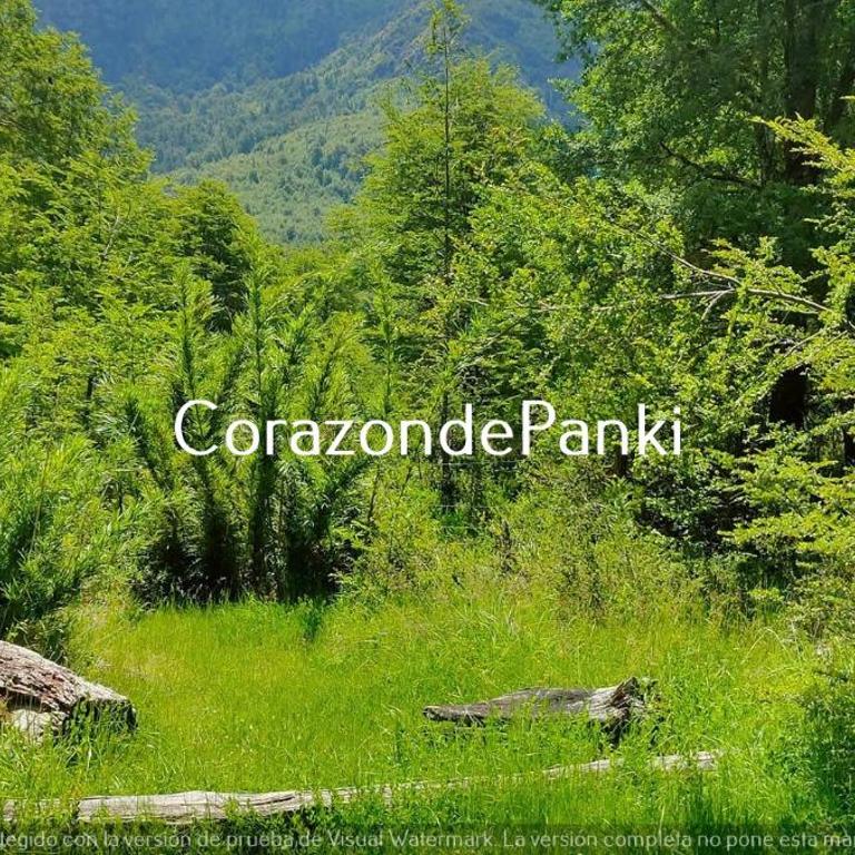 Corazon de Panki - Two-Bedroom House - 8