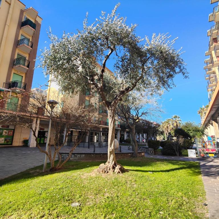 Roma 32 by Tempovacanza - Appartamento - 37