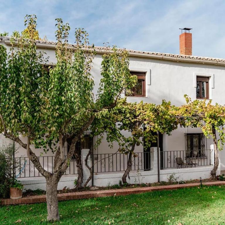 Casa Blanca - Villa - 6