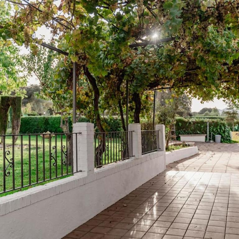 Casa Blanca - Villa - 10