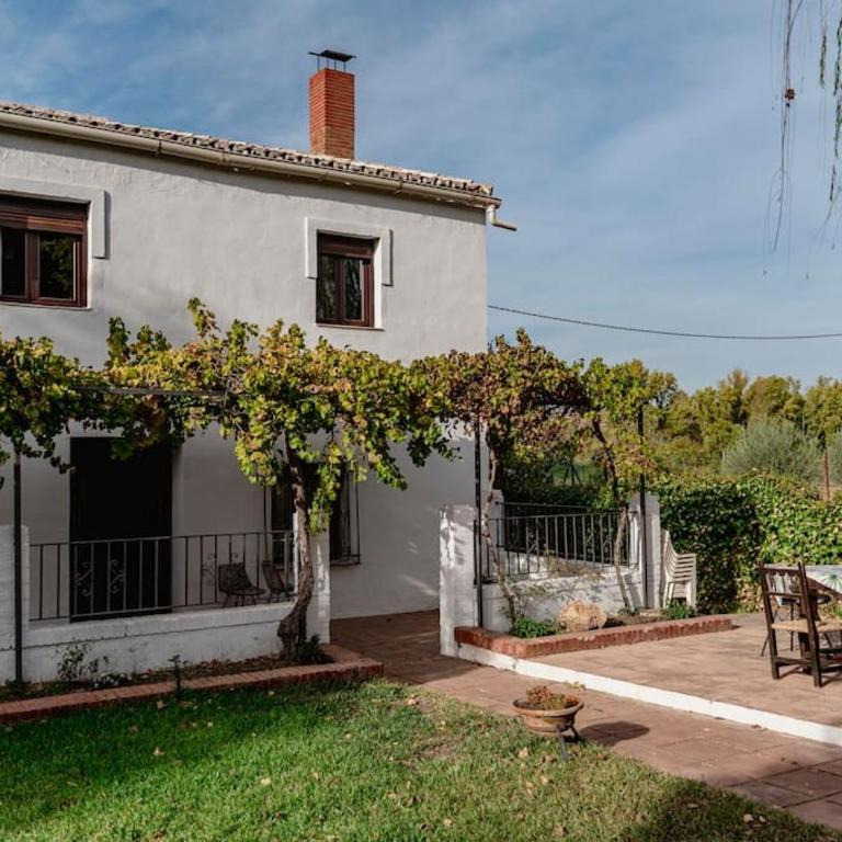 Casa Blanca - Villa - 13