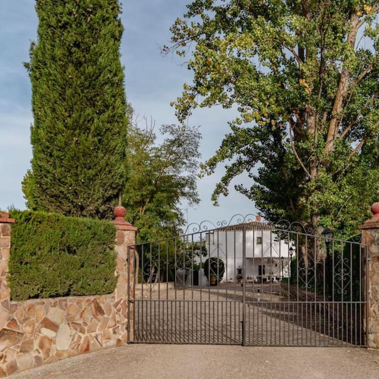 Casa Blanca - Villa - 14