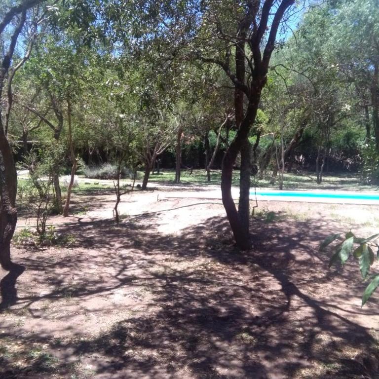Paraiso Serrano - Apartamento de 1 dormitorio - 3