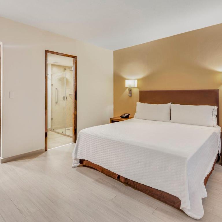 Fiesta Inn Guadalajara Expo - Suite Junior - 1