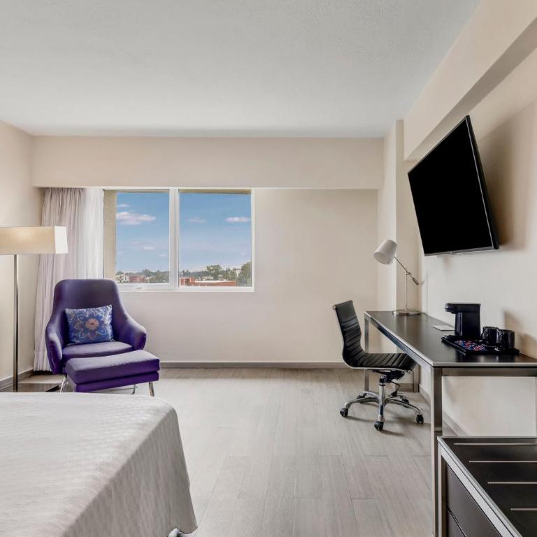 Fiesta Inn Guadalajara Expo - Habitación Superior con cama extragrande - 1
