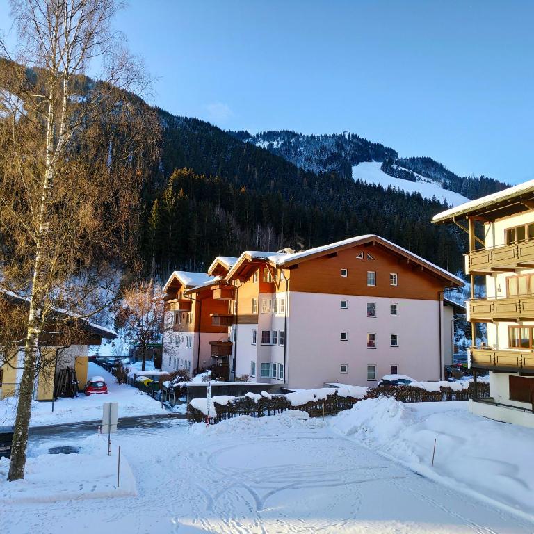 Ferienwohnung Loitfelder-Pang - Apartment with Sauna - 19