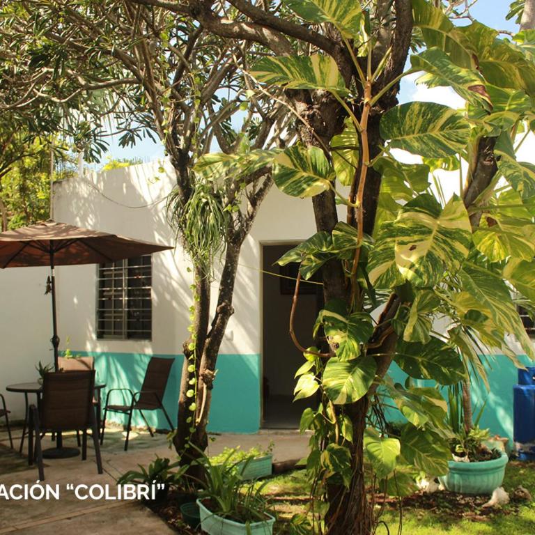 Departamentos Ileana - Apartamento de 1 dormitorio - 2