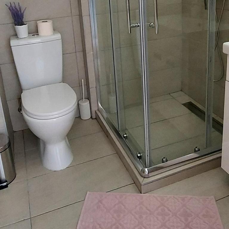 Apartman Mery in Kraljevi Čardaci - One-Bedroom Apartment - 9