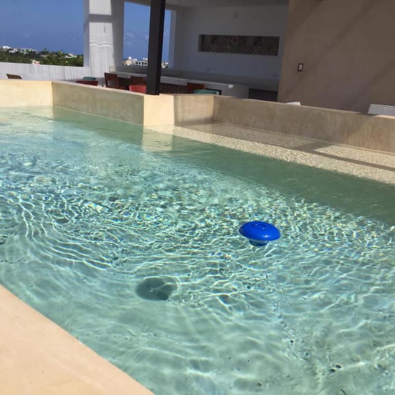 New apartment with all services and pool Marcos #1 - Apartment - Ground Floor - 36