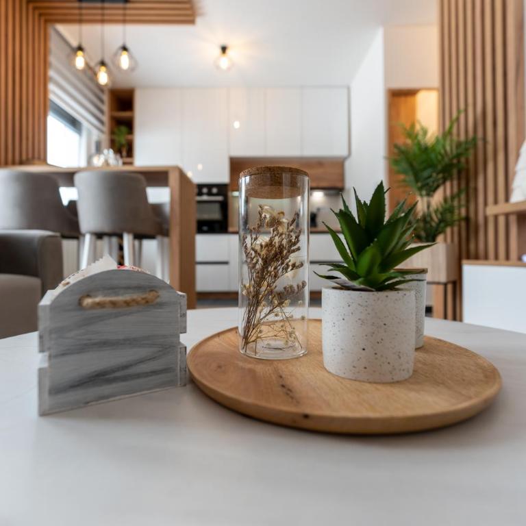 Borov jezic - Apartman sa 1 Spavaćom Sobom - 13