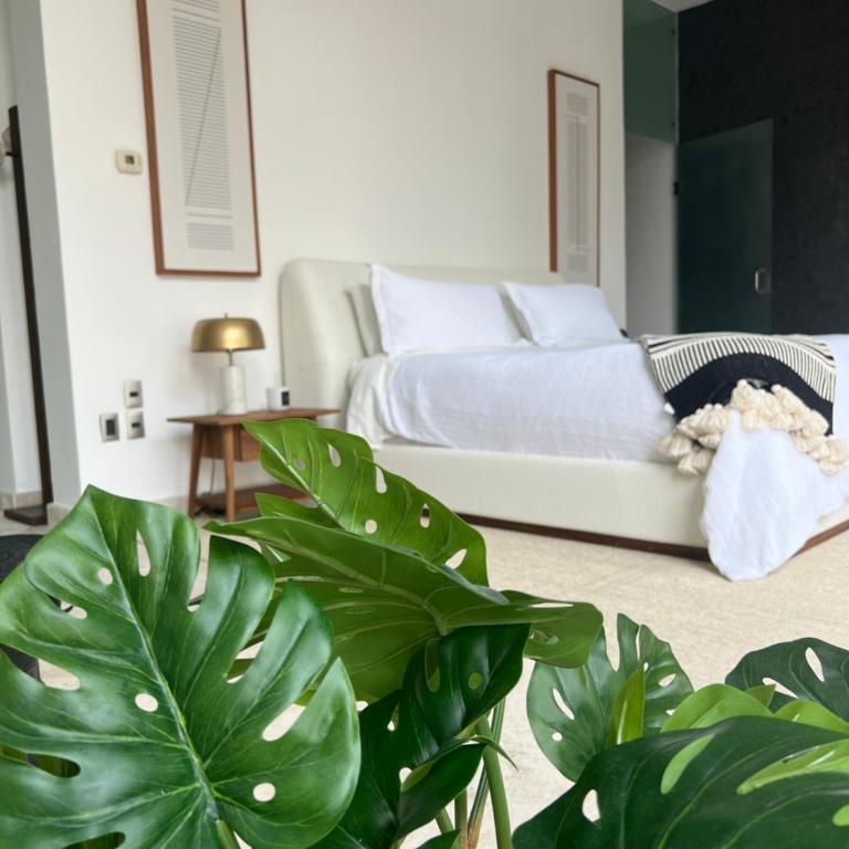New luxury apartment Playa del Carmen - Two-Bedroom Apartment - 12