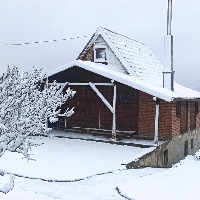 Porodicna brvnara Ivanovic - Apartman sa 2 Spavaće Sobe - 2