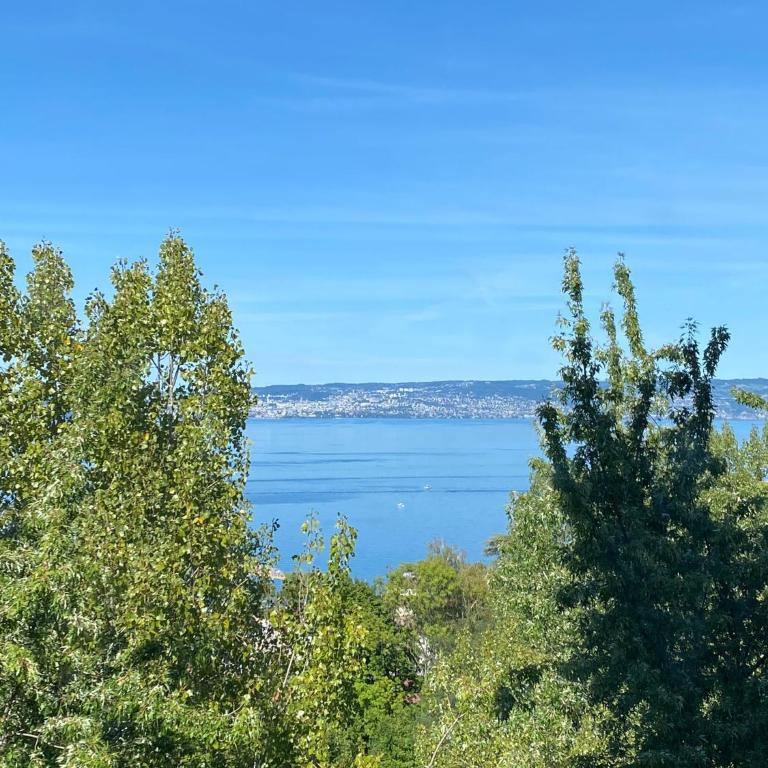 Vue Lac, Central et Contemporain - Appartamento con 2 Camere da Letto - 1