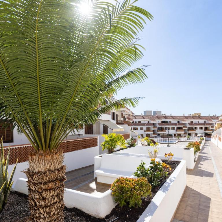 Home2Book Cardón Sunny Design Home Los Cristianos - One-Bedroom Apartment - 25