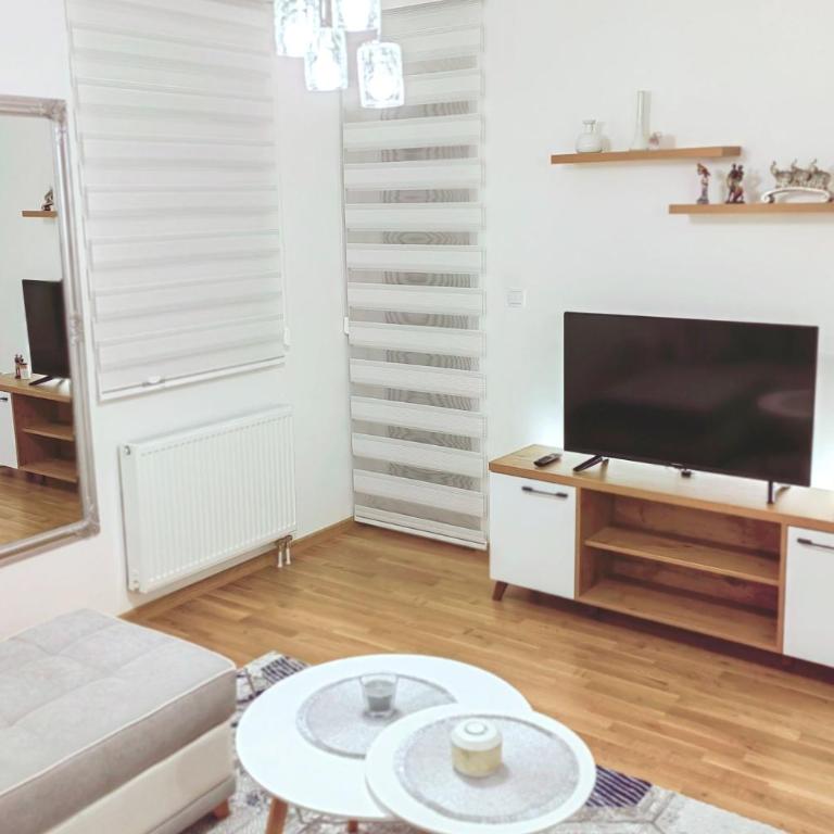 Silver Apartment - Two-Bedroom Apartment - 4