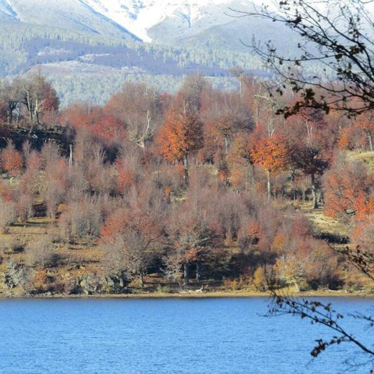 Refugio del Pollux- Coyhaique- Orillas Lago Pollux - Three-Bedroom Chalet - 24