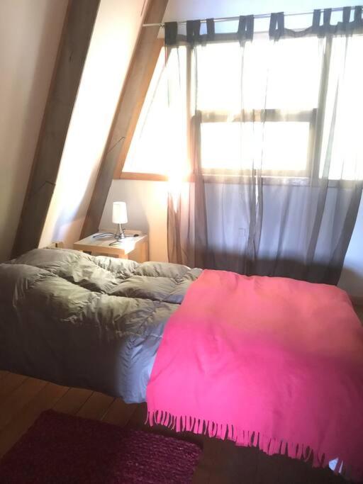 Refugio del Pollux- Coyhaique- Orillas Lago Pollux - Three-Bedroom Chalet - 44