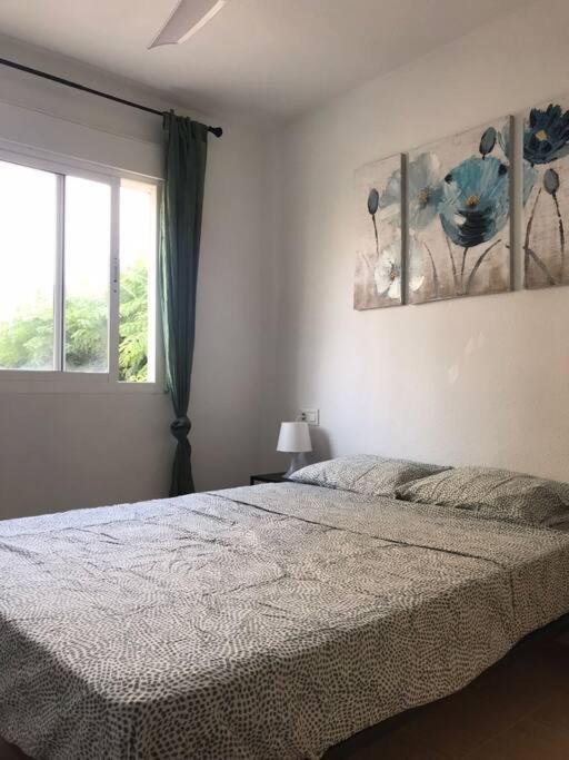 Lovely one bedroom unit with balcony and pool - Apartamento de 1 dormitorio - 9