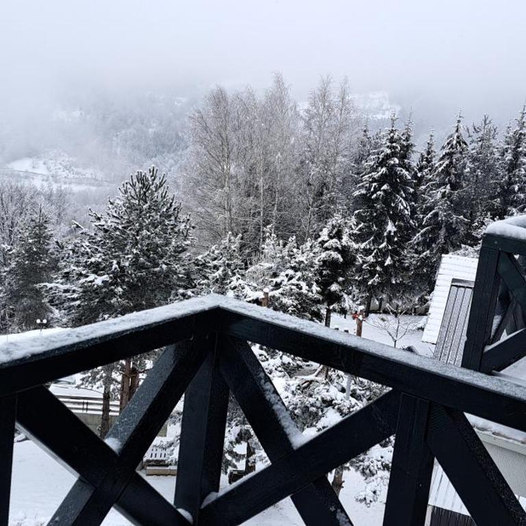 White Eagle Kopaonik - Beli Orao - Apartman sa 2 Spavaće Sobe - 18
