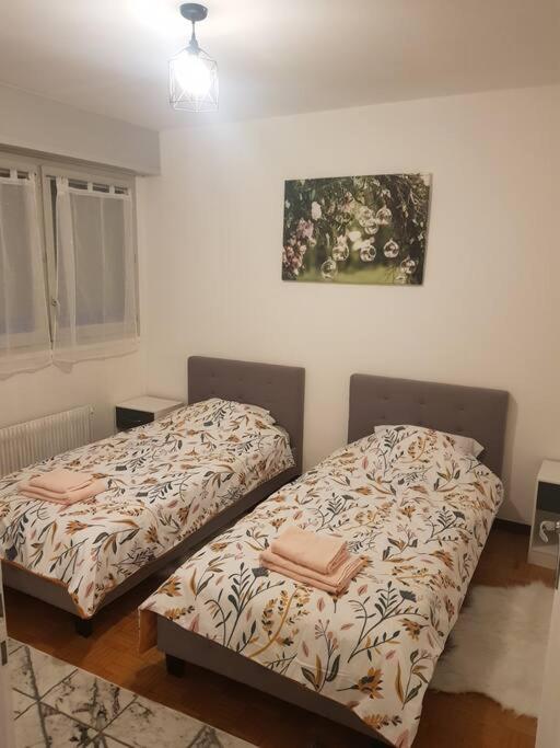 Magnifique T2 au centre ville - Appartement 1 Chambre - 6
