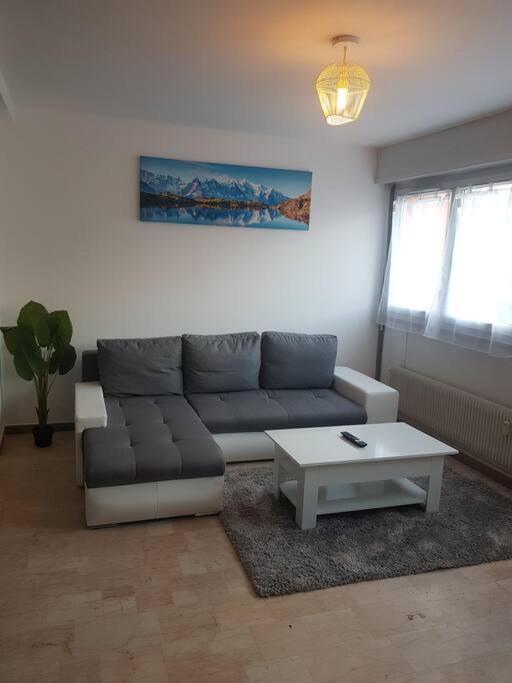 Magnifique T2 au centre ville - Appartement 1 Chambre - 7