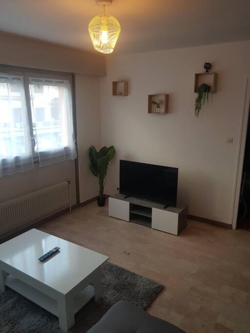 Magnifique T2 au centre ville - Appartement 1 Chambre - 8