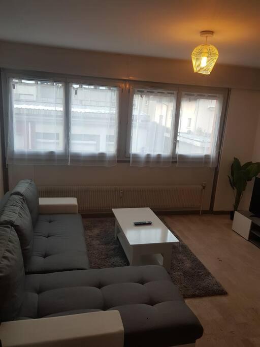 Magnifique T2 au centre ville - Appartement 1 Chambre - 10